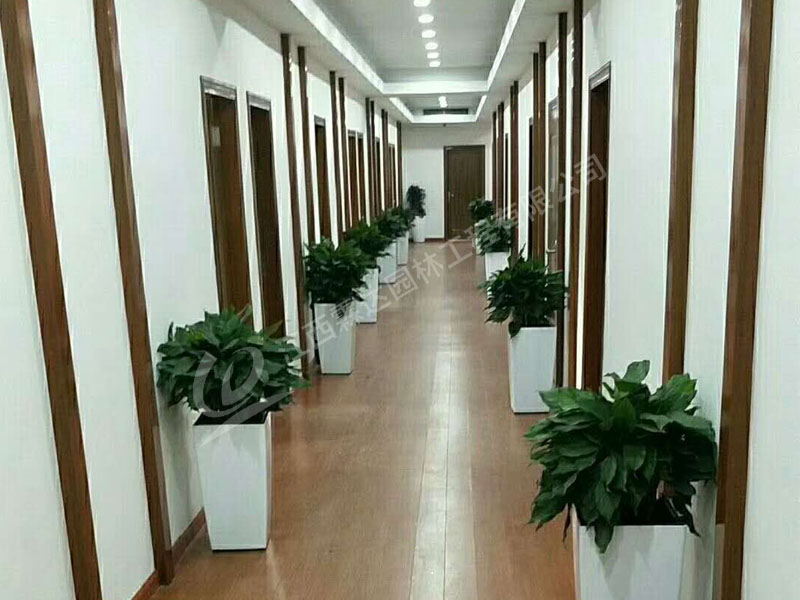 過道擺放效果